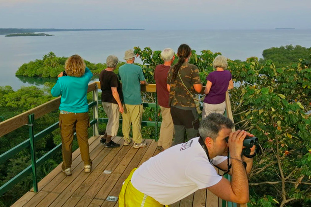 Group of people birdwatching from the tower at Tranquilo Bay in Panama